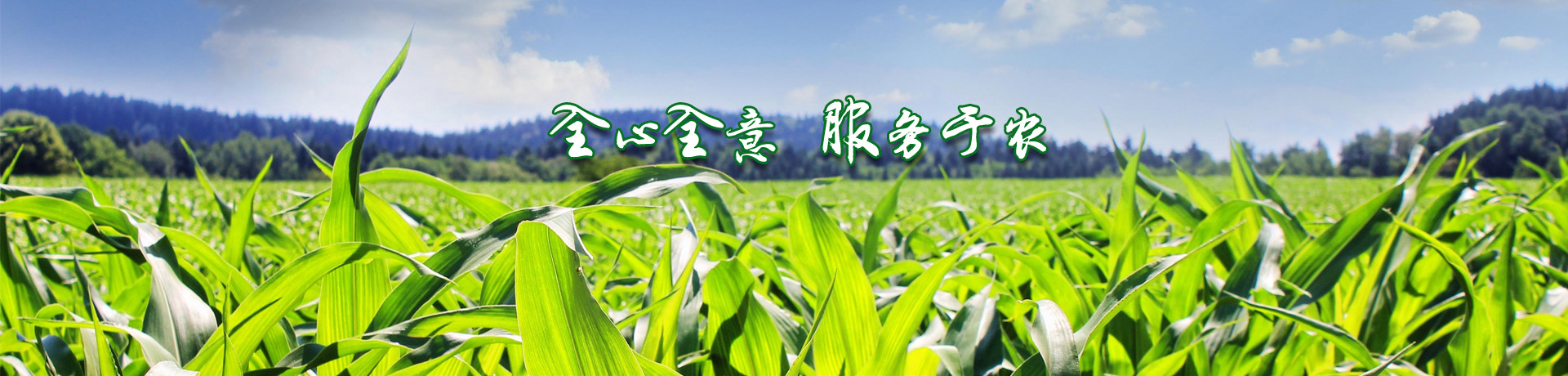 醫院家具_醫療家具_醫院家具廠家-廣東佰河控股集團有限公司